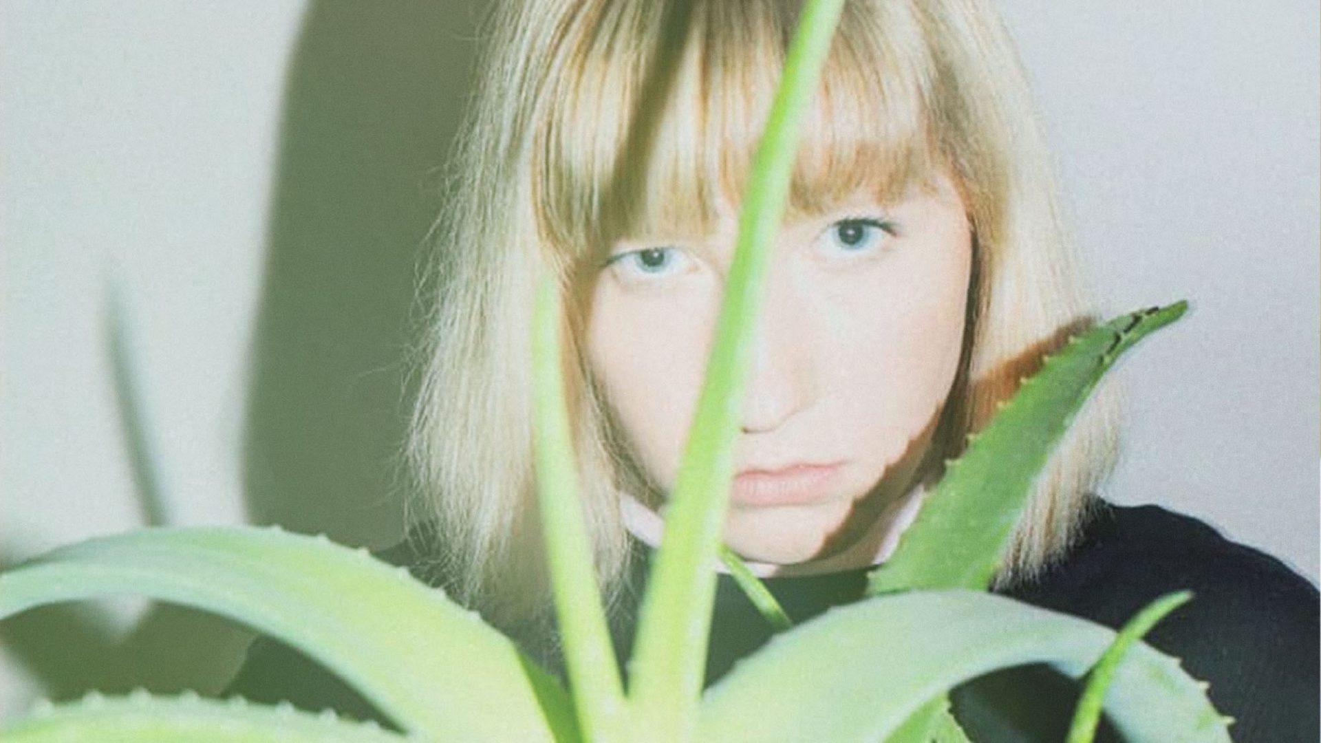 Lina Maly Als Du Gingst Text