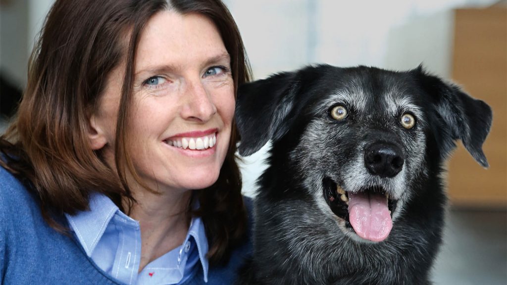 faszination hund bremer