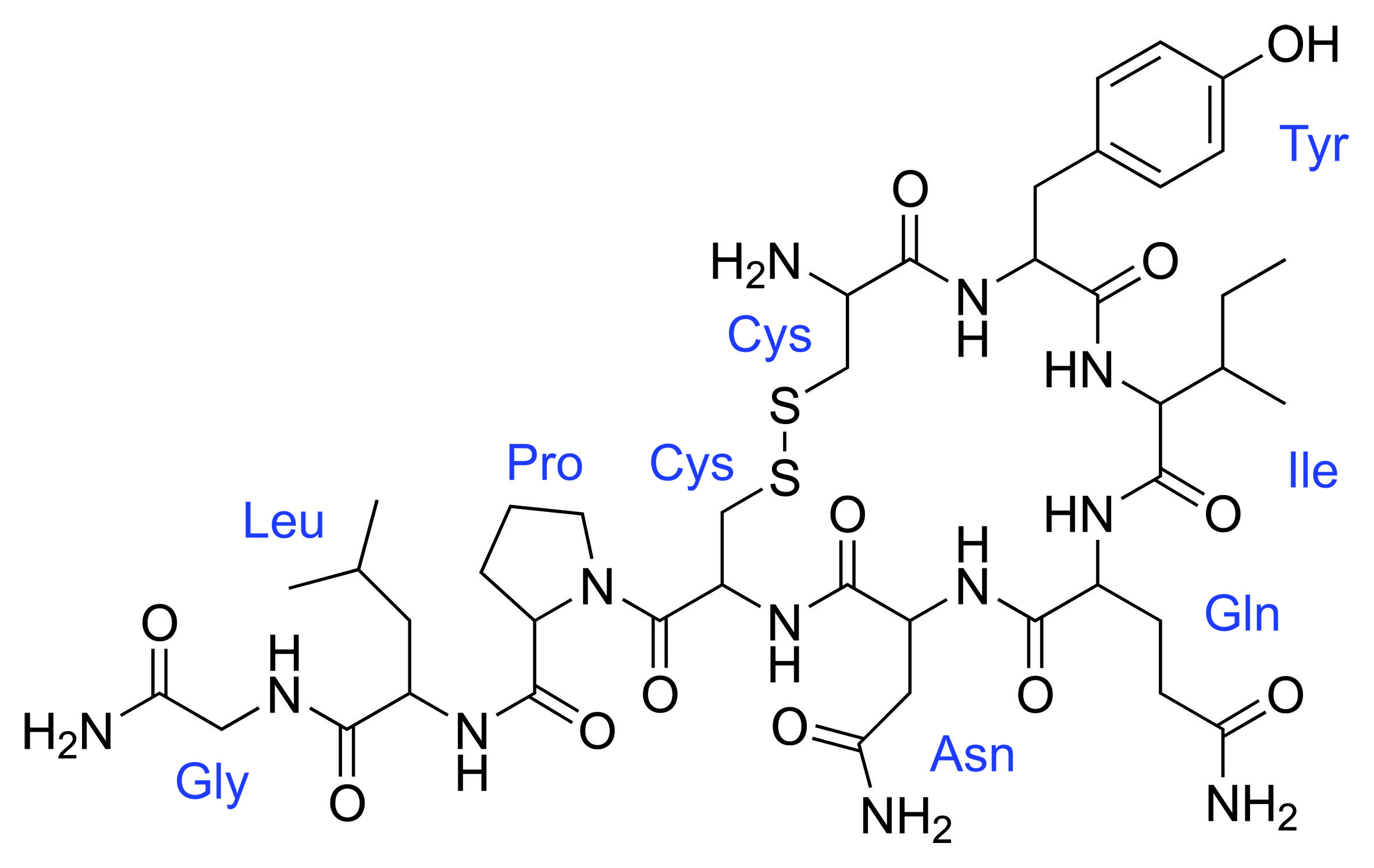 Das Molekül Oxytocin als chemische Abbildung.