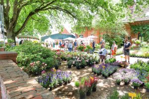 Landromantik, Vielfalt und Genuss auf dem Etelser Schlossgartenfest