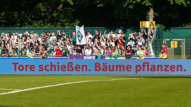 Tore schießen. Bäume pflanzen