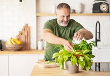 Vegane Ernährung mit Alexander Flohr // Interview Alexander Flohr