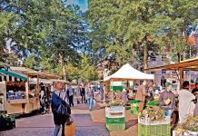 ÖkoMarkt Bremen mit Herbstfest Der ÖkoMarkt in Bremen