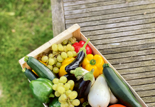 Das Gemüseabo aus Dörverden Kiste mit frischem Gemüse