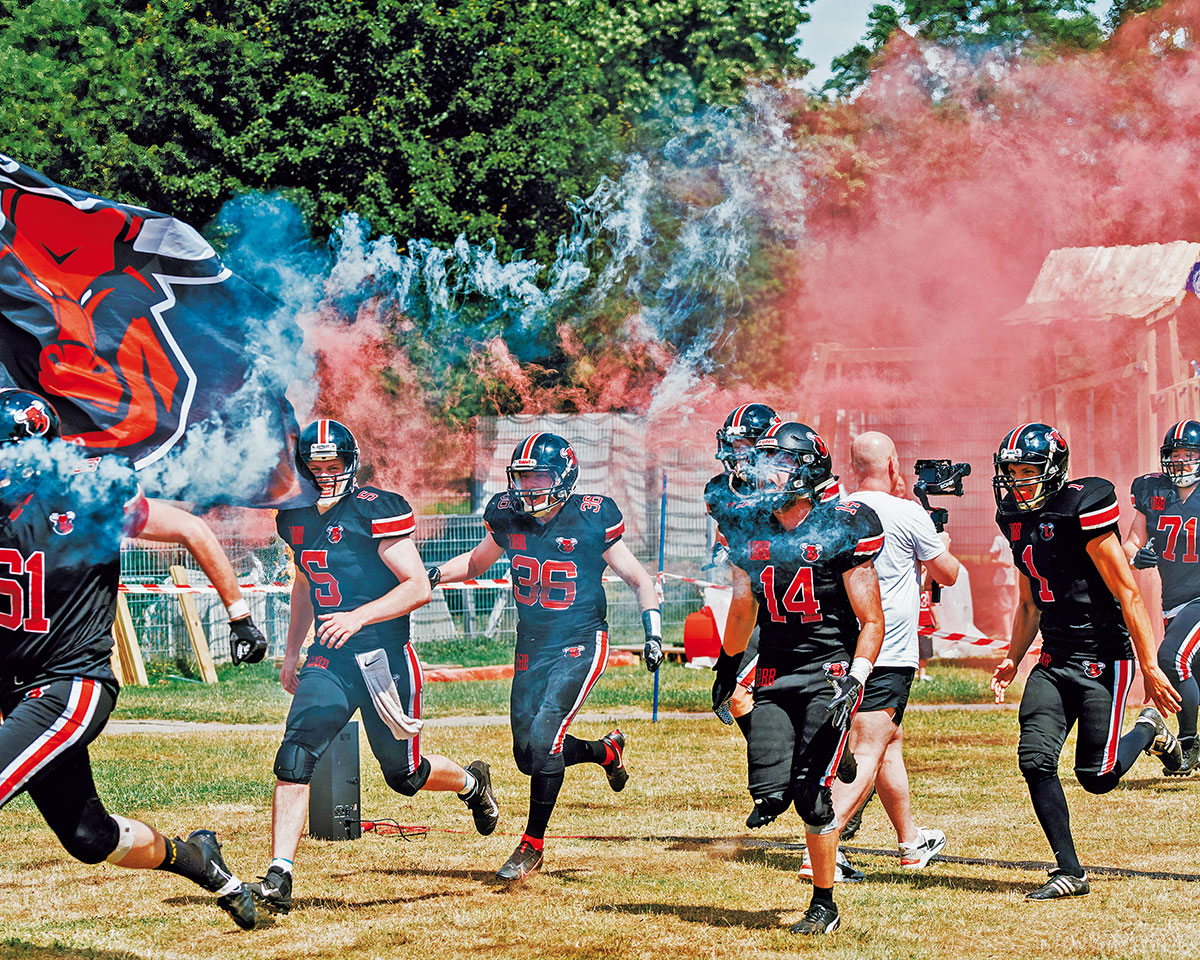 Die Bremen Bulls