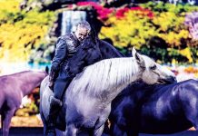 Cavalluna Harmonie zwischen Mensch und Pferd Foto: Cavalluna