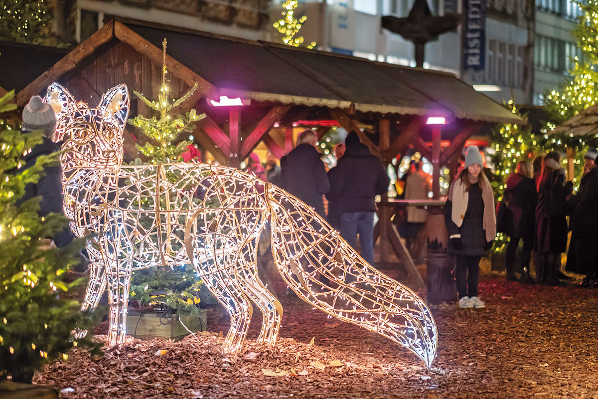 Der Winterwald glänzt mit tierischen Lichtskulpturen 