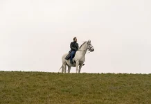 Der Schimmelreiter Copyright Arsenal Filmverleih