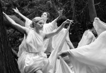 Silent Friend Copyright Pandora Film