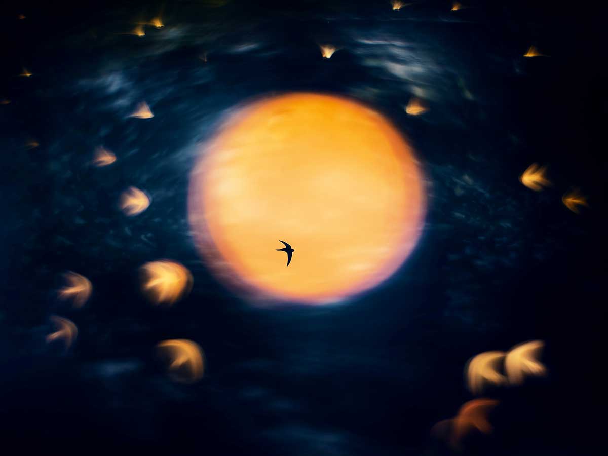 Åsmund Keilen, Norwegen, Sonnentanz