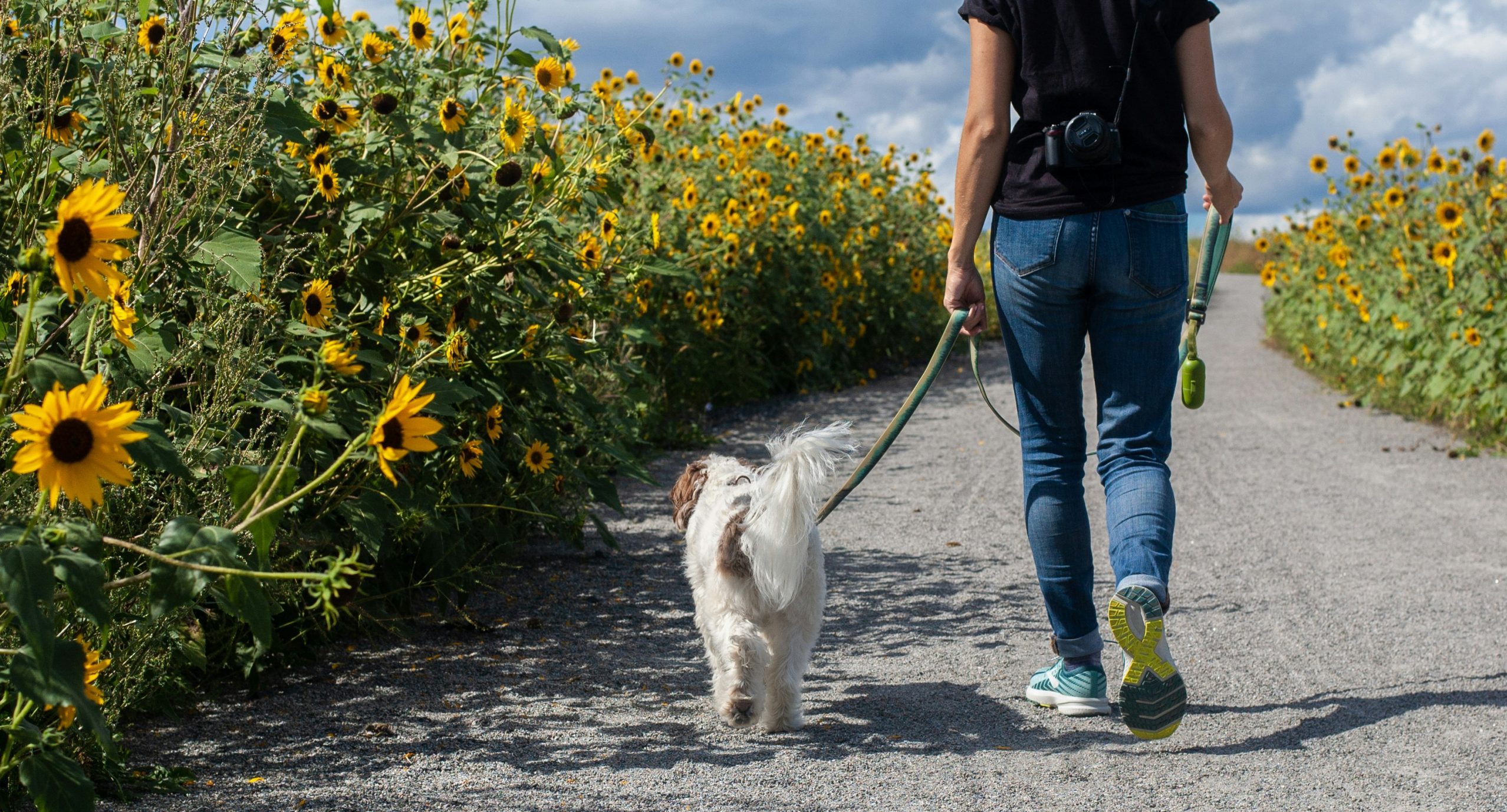 unsplash/ Delphine Beausoleil