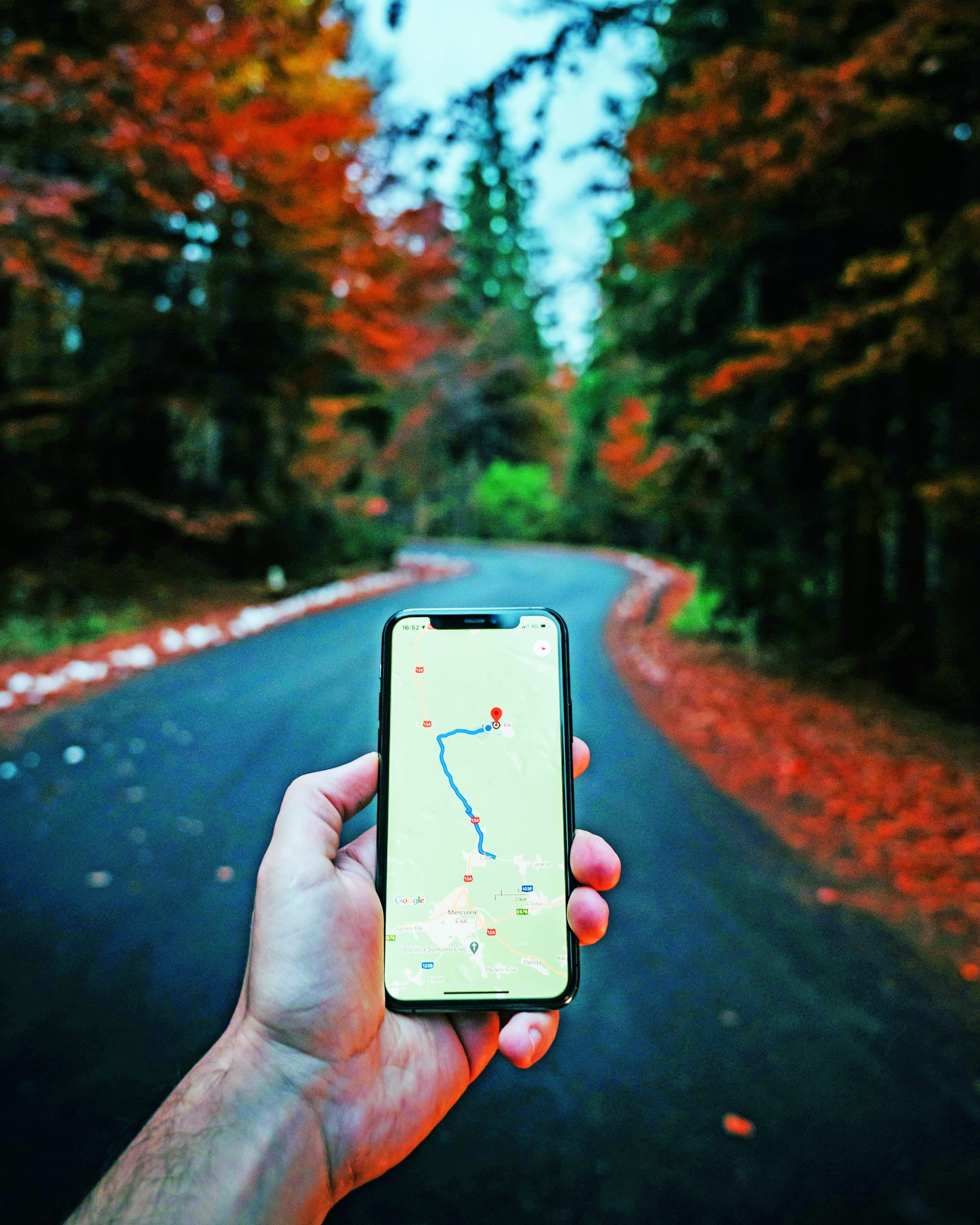 unsplash/ Tamas Tuzes Katai