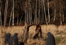 Hellseatic 2026 – Heavy Sounds mit Haltung Eremit Foto: Ani Levottomuus