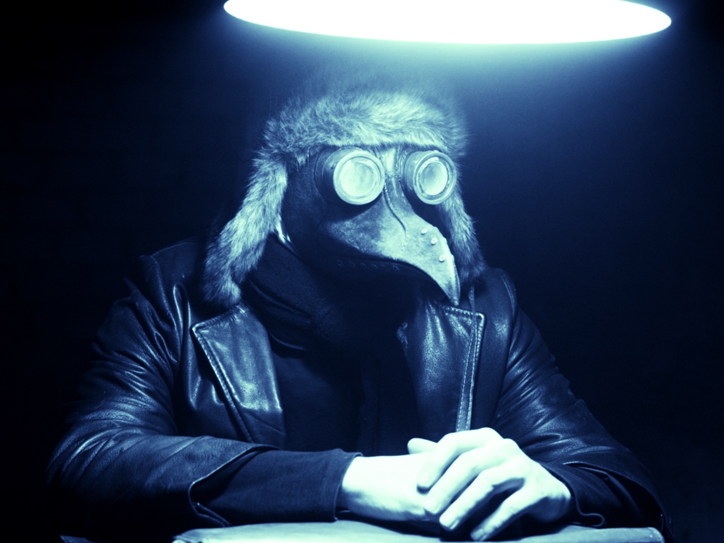 2551.03 - The End, Groteske aus Österreich Foto: FIlmfest Bremen